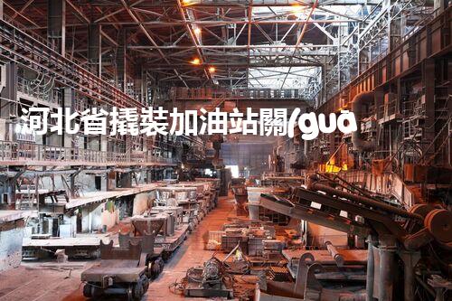河北省撬裝加油站關(guān)鍵技術(shù)突破！化工廠拆除工程的新方法探索？